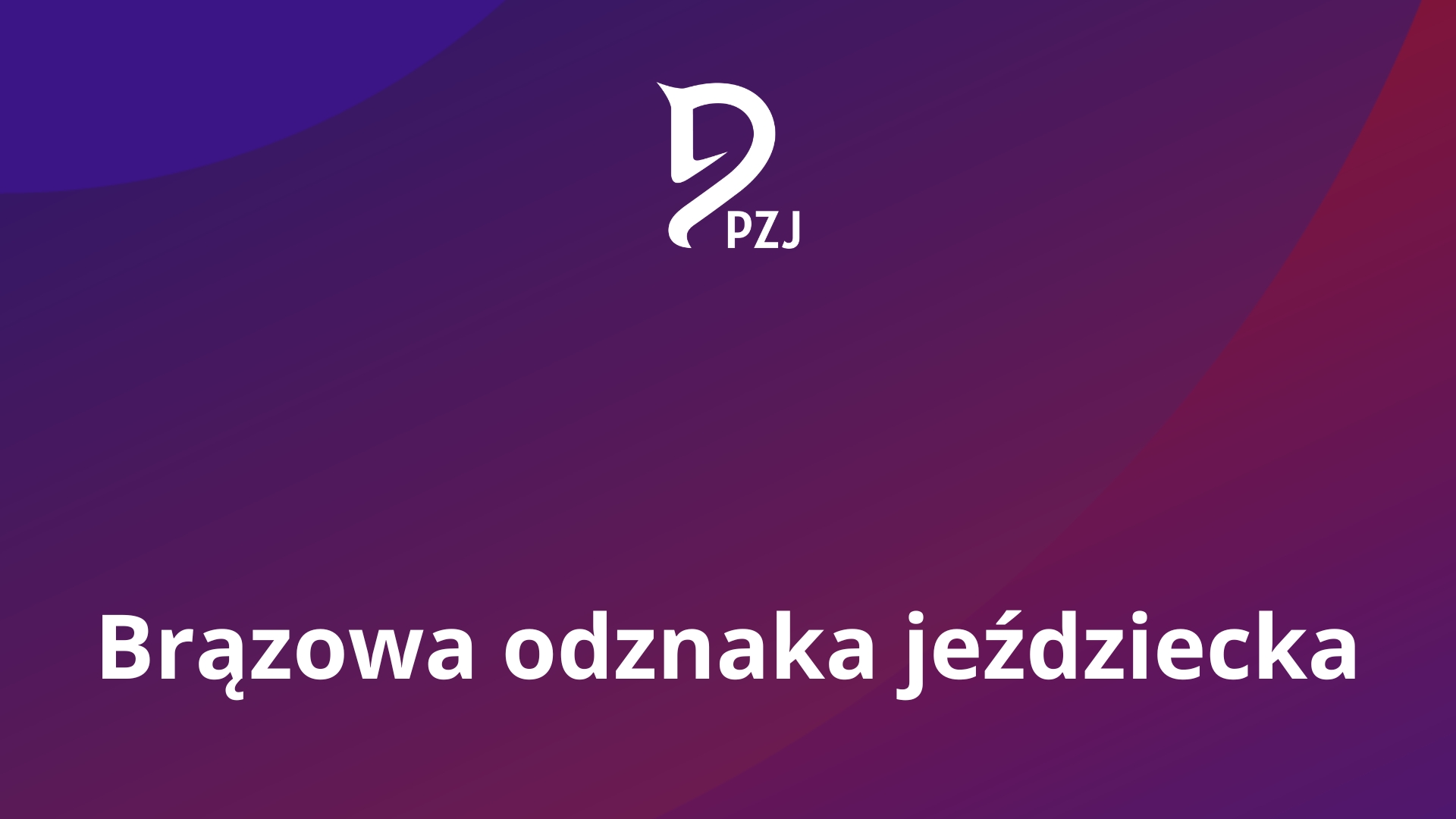 Brązowa odznaka jeździecka